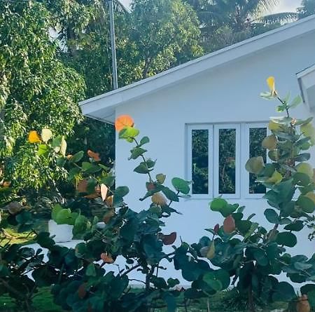 The Cay House Hotel Mangrove Cay Buitenkant foto